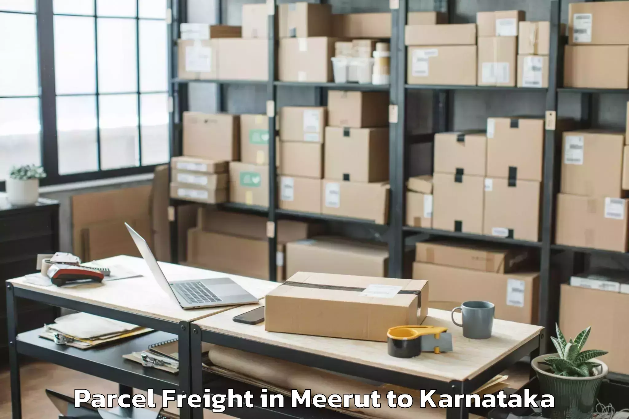 Book Your Meerut to Holalkere Rural Parcel Freight Today